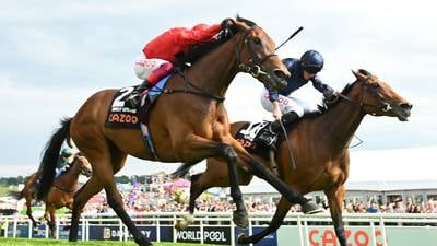 Irish Derby preview: Under pressure meet includes star filly Tuesday 