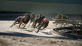 Barry’s Tea and FBD Insurance pull greyhound racing funding