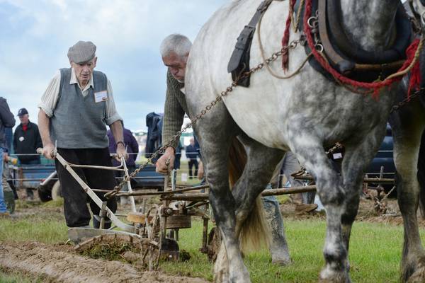 Wicklow’s 85-year-old plough master embodies tradition