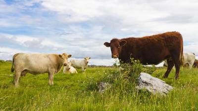Land price survey shows growing confidence among farmers
