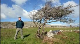 Burren environmental farming-scheme changes spark resignations by co-founders