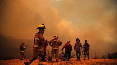 At least 99 people killed in forest fires in Chile