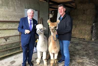 Got an ailing alpaca business? John and Francis Brennan can fix that for you