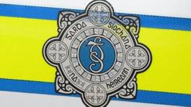 Garda says domestic abuse reports will be dealt with quickly