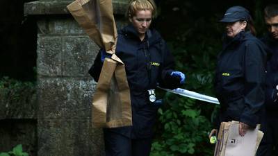Trial of Dubliner accused of murdering man in Kildare woods opens