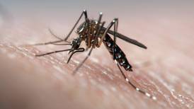 China declared malaria-free after 70-year eradication campaign
