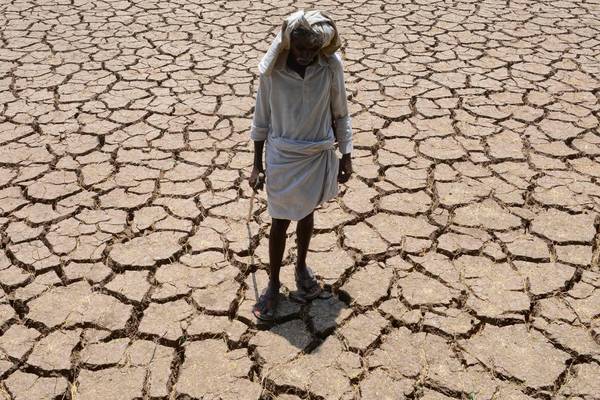 The Irish Times view on world hunger: where food is scarce