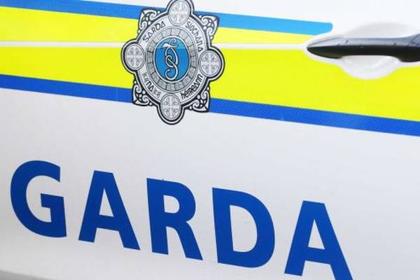 Man (20s) shot in the leg in Co Wicklow on Sunday morning
