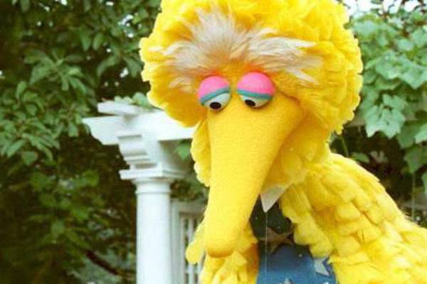 Big Bird is not the only casualty when public broadcasting is cut