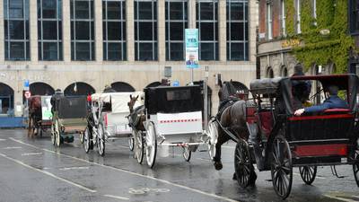 ‘It’s a dying trade’: Dublin’s horse-drawn carriage drivers stage protest