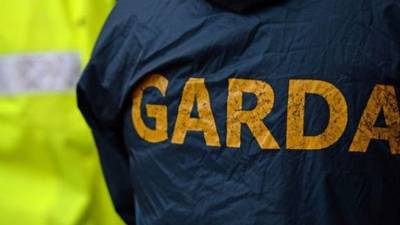 Two people arrested on suspicion of murder of Limerick boy released