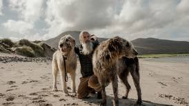 Wolfhounds to witches: Ireland’s most unusual tours