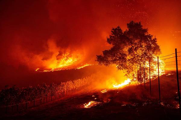 Thousands ordered to evacuate amid fires in California wine country