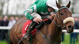 ‘Pimpernel’ Percy undergoing unorthodox preparation for Gold Cup date