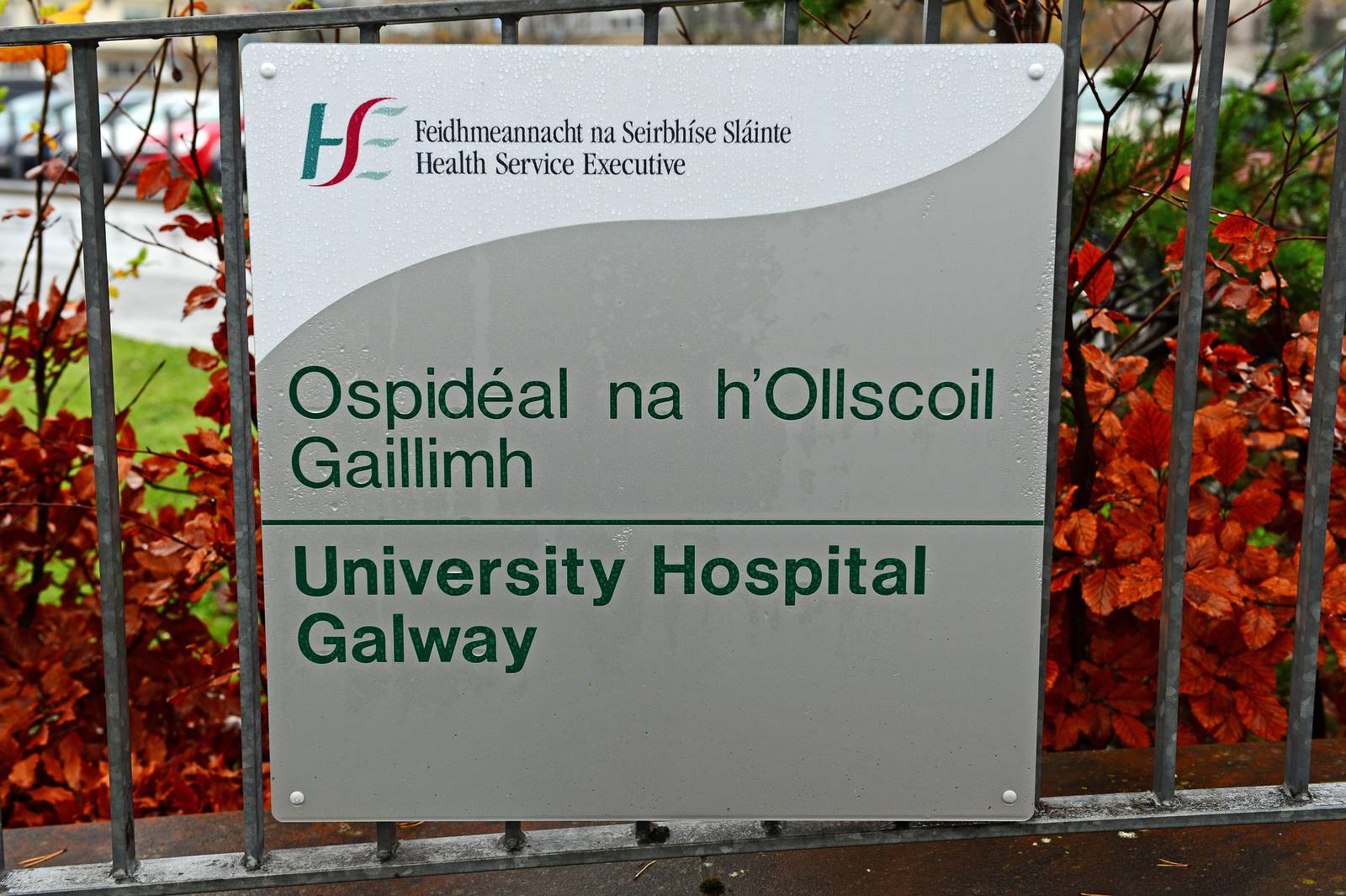 14/11/2012           NEWS        
University Hospital Galway 
Photograph: Eric Luke / THE IRISH TIMES 
Exterior  File  Stock   PLEASE FILE FOR FUTURE USE