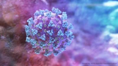 Coronavirus: Herd immunity may take multiple waves of infection – study