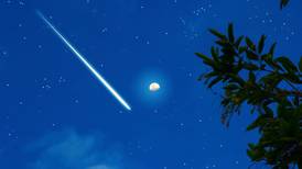 Rock bottom: Think you’ve got troubles? You haven’t been hit by a meteorite