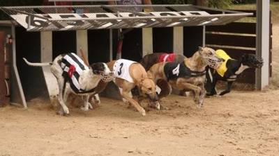 Hotel cancels anti-greyhound racing conference after abuse received