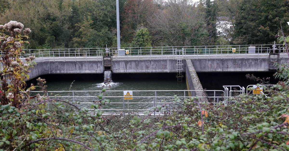 Alerts missed at Leixlip water plant that put 600,000 on boil notice ...