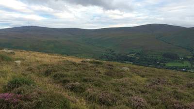 Walk for the weekend: over Dublin’s highest mountain