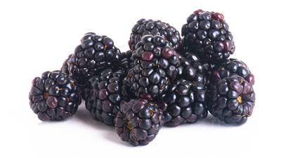 JP McMahon: How to make the most of blackberry season