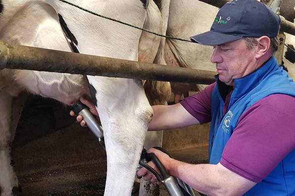 Final milking day for Dublin’s last commercial dairy farm