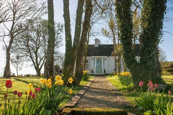 Sublime Sligo cottage offers promise of the good life for €250,000