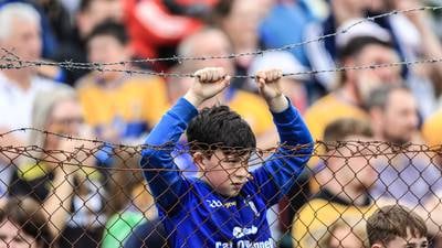 Munster hurling fans take significant ticket price rise in their stride