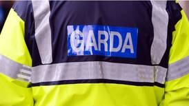 Gardaí investigating violent disturbances in Co Limerick town