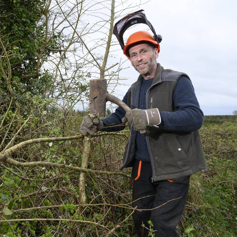 ‘Hedges are a highway for wildlife. You’ll never see a mouse springing across a field’