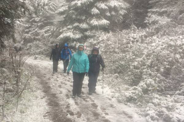 Walk for the Weekend: The magic of a snowy Tipperary trail