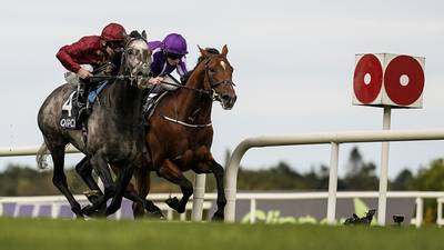 Murphy times run to perfection as Roaring Lion pips Saxon Warrior in thriller