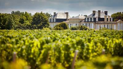 The Irish connection to an illustrious wine family in Bordeaux