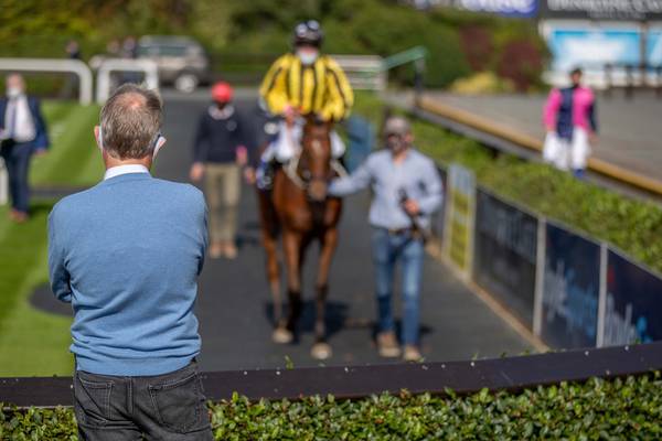 Racehorse owners in Dublin advised not to go racing by HRI