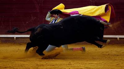 Spanish Twitter storm over cancer victim’s bullfighting dream
