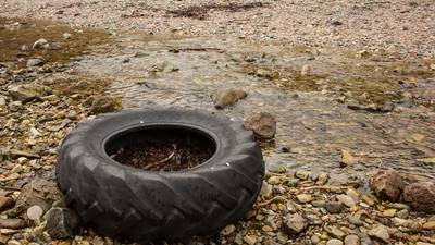 Coastwatch survey reveals myriad litter and pollution problems