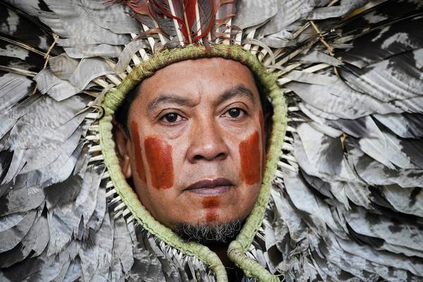 Illegal loggers kill Amazon indigenous warrior who guarded forest