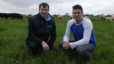TG4 goes back to the farm with ‘Feirm’