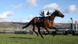 Honeysuckle has what it takes to defend her Champion Hurdle crown