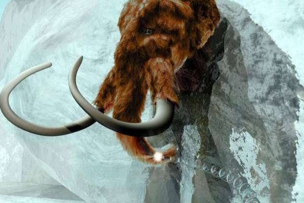Scientists move closer to resurrecting woolly mammoth