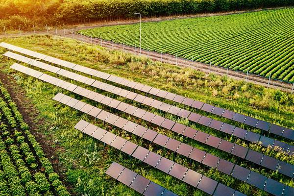 BNRG and Neoen secure funding for three solar farms in Leinster