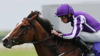 Champions Weekend: Minding gets chance to  show  pedigree