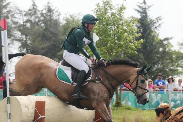 Equestrian: cross-country prowess sees Ireland improve in Netherlands