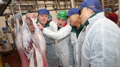 Ireland coupling with  China’s   beef train at just the right time