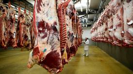 Government welcomes ‘good bits’ of Mercosur beef deal