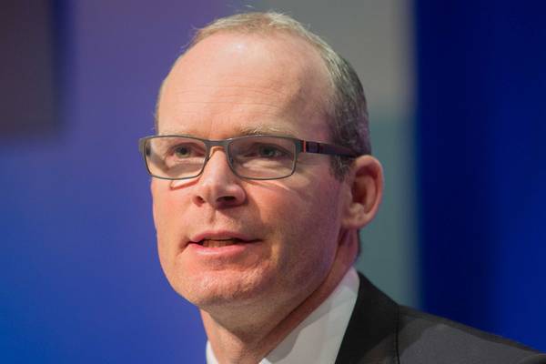 Coveney: Emergency beds  available for anyone who wants one