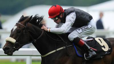 Say could spring a surprise in Noblesse Stakes in Cork