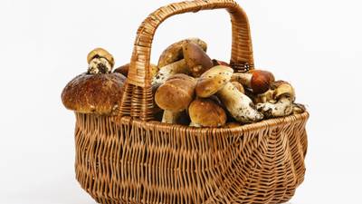 Mushroom business must pay €30.6m to buy out minority shareholders