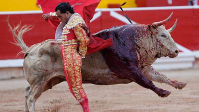 Furore over death of matador highlights bullfighting’s woes