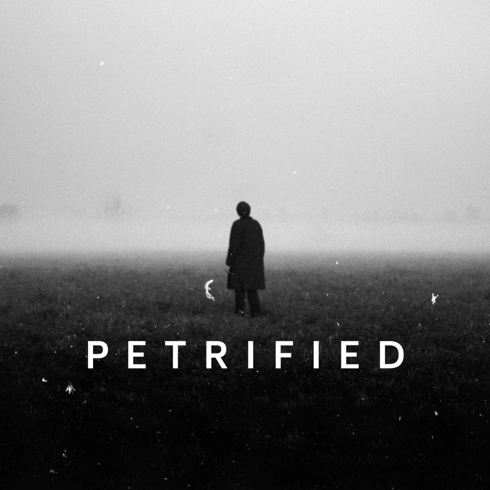 Artwork for Petrified podcast